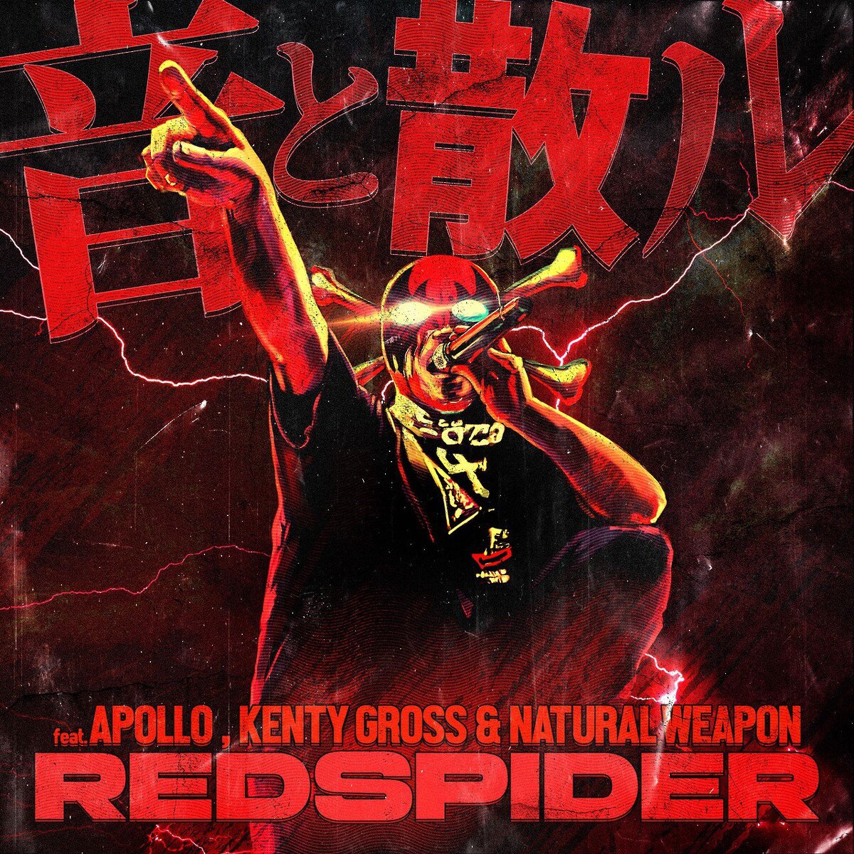 麻の中の蓬　カエルスタジオ　redspider yolo 7inc 麻の中の蓬 カエルスタジオ redspider yolo 7inc RED SPIDER, APOLLO